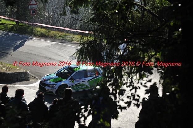 DSC_6957.JPG